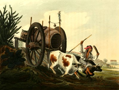 Water Cart