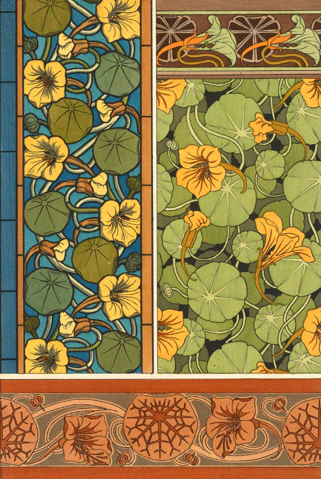 Nasturtium