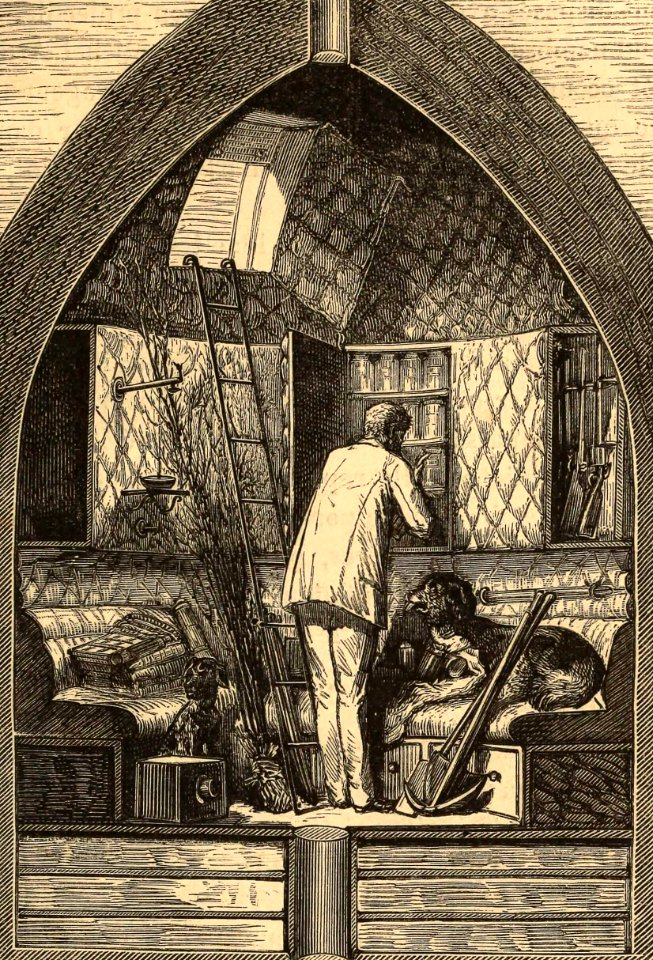 The Interior of the Projectile
