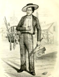The Notions Dealer