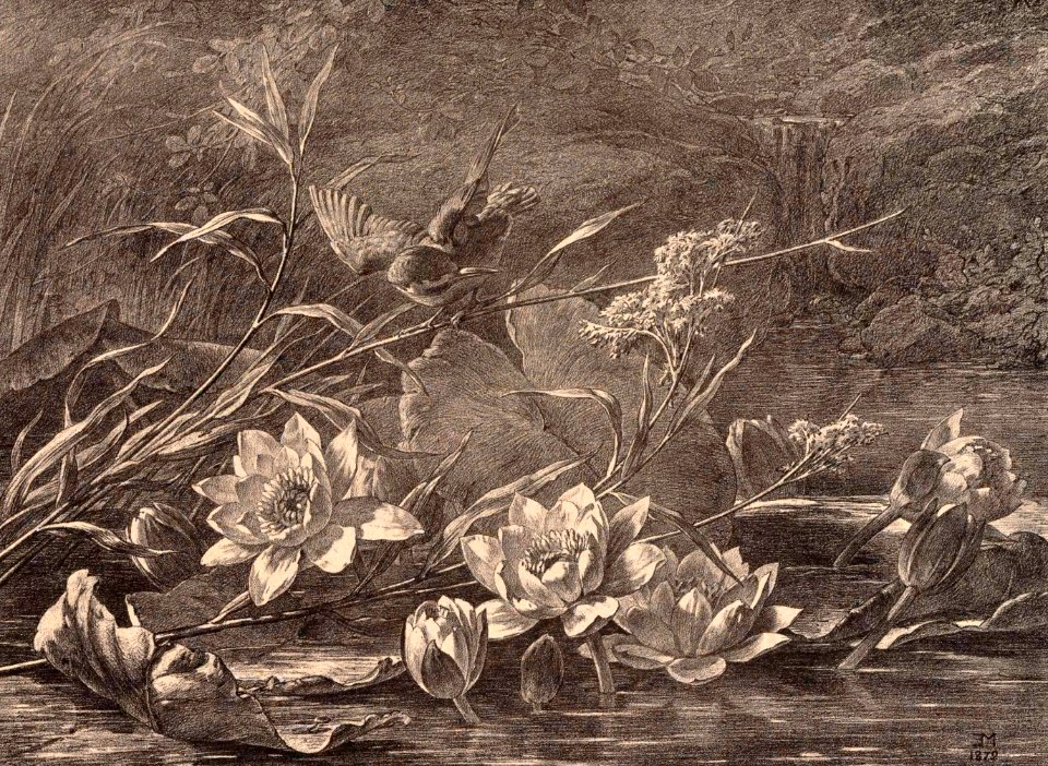 Flore pittoresque—Plate 19