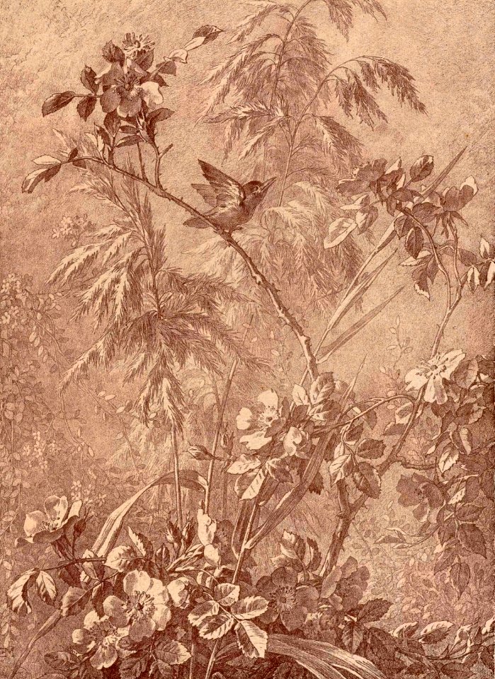 Flore pittoresque—Plate 8