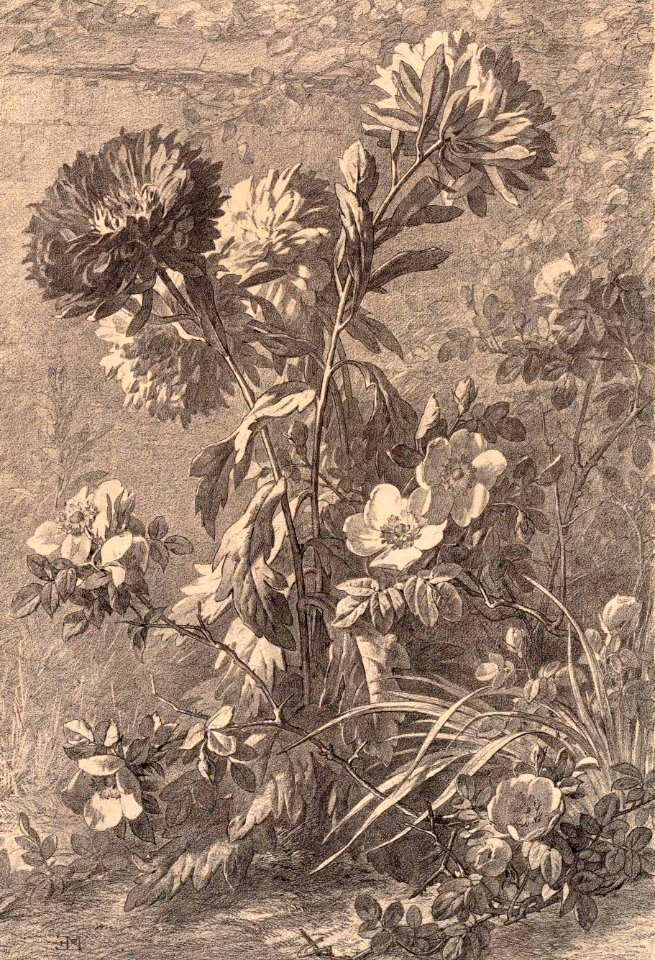 Flore pittoresque—Plate 2