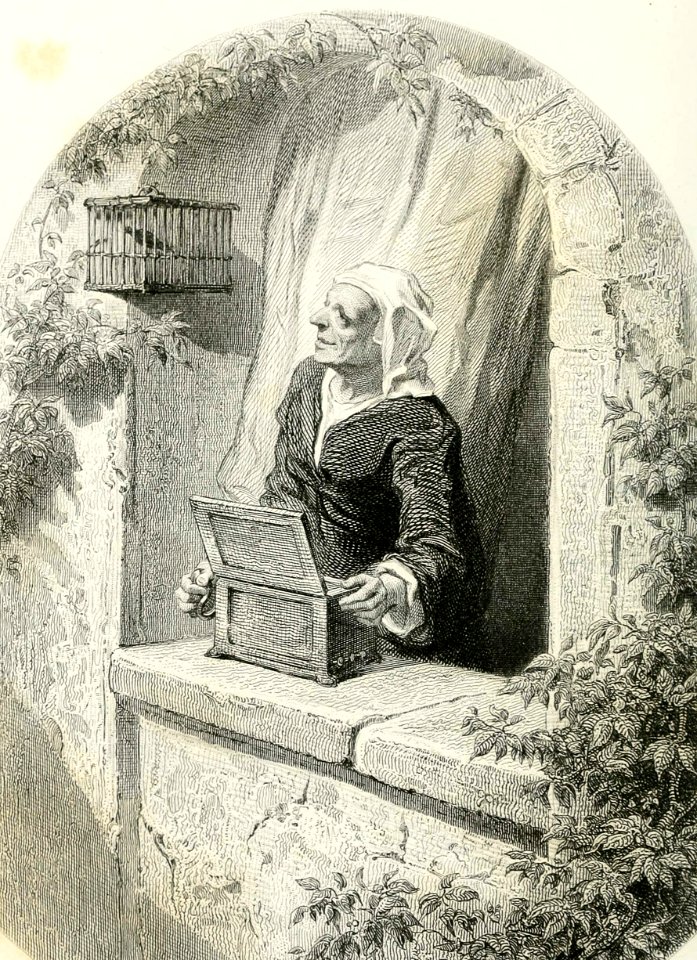 Birds’ Music