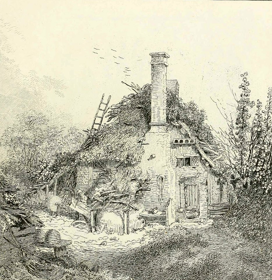 On Merrow Common, Surrey
