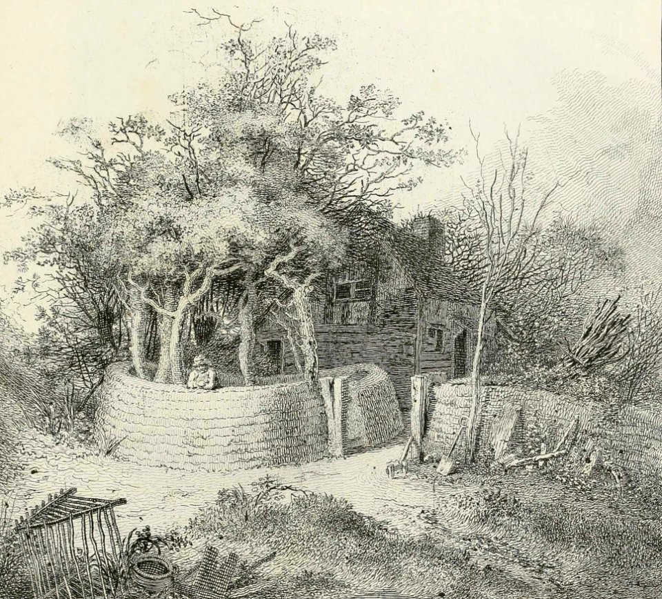 Near Jack Straw’s Castle, Hampstead Heath