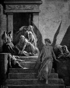 Death of the Firstborn