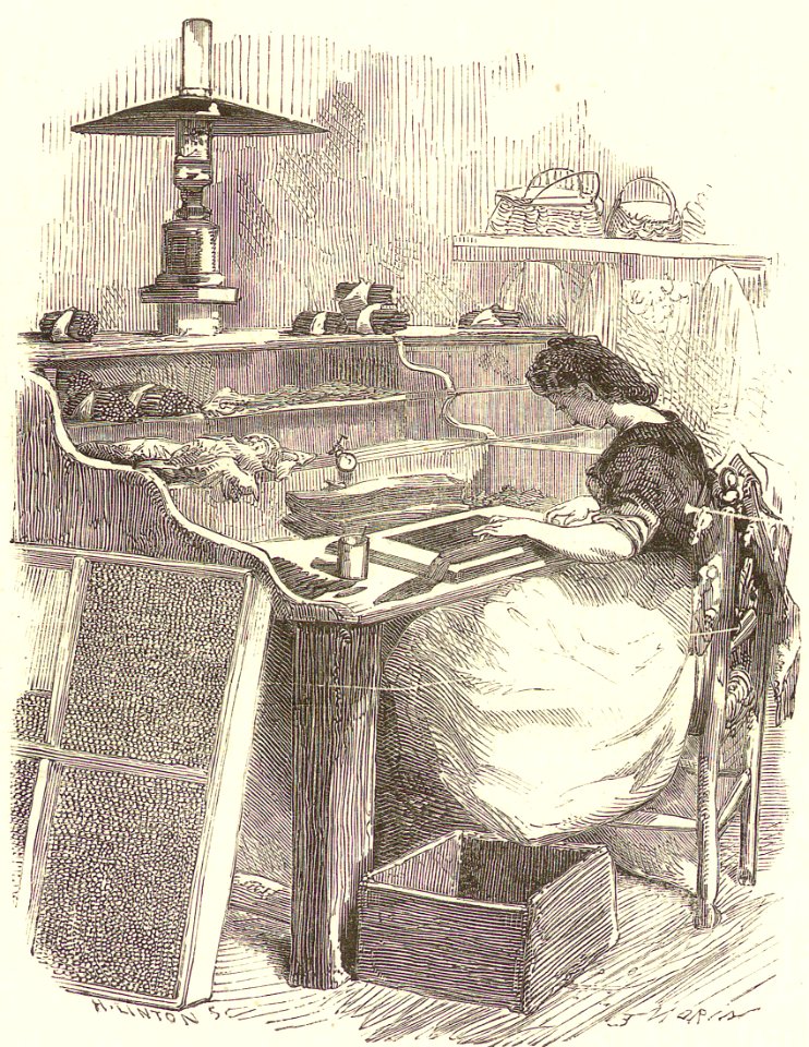Woman Wrapping a Cigar