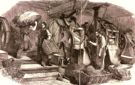 Tobacco Choppers