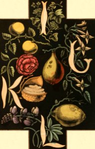 Alphabet of Flowers and Fruit—I, J, K, L