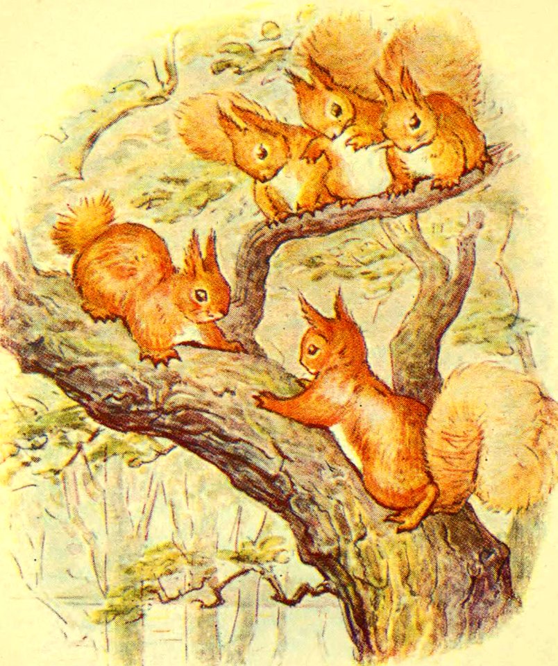 Nutkin up a Tree
