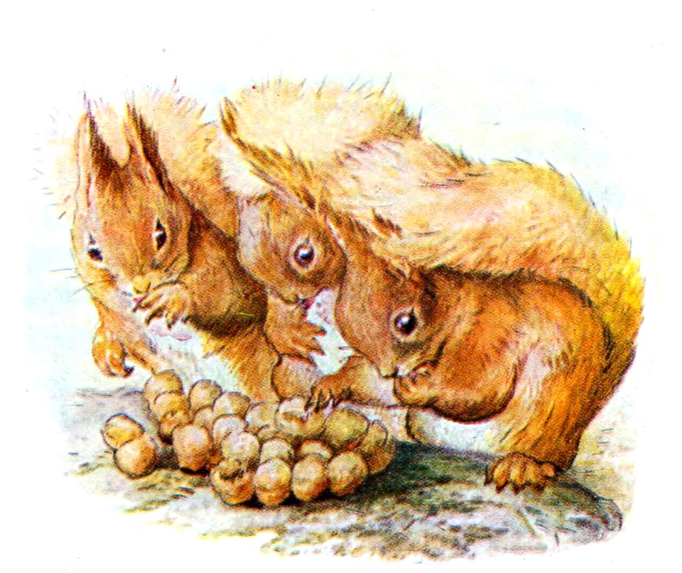 Up and down the Nut Bushes
