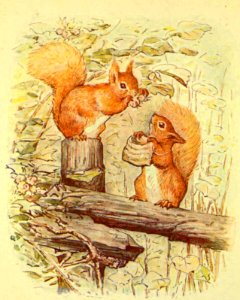 The Tale of Squirrel Nutkin—Frontispiece. Free illustration for personal and commercial use.