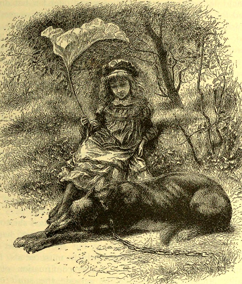 A Wolf Crawled Fawning to Her Feet