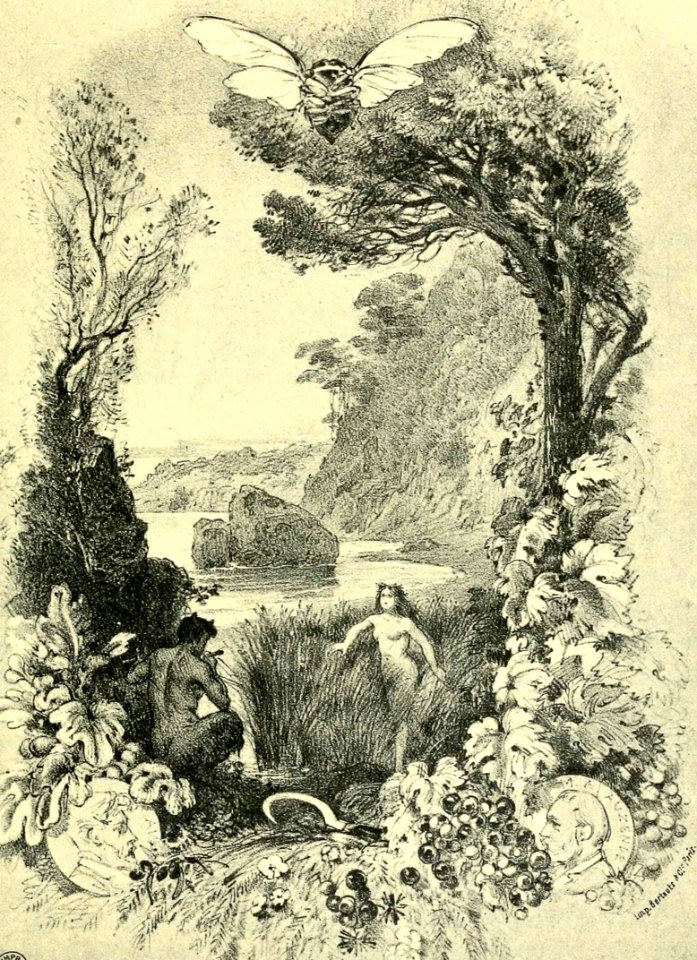 Cicada in Idyllic Landscape