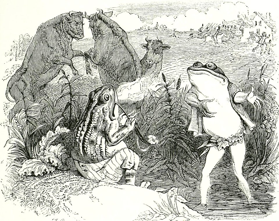 The Two Bulls and the Frog
