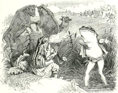 The Two Bulls and the Frog