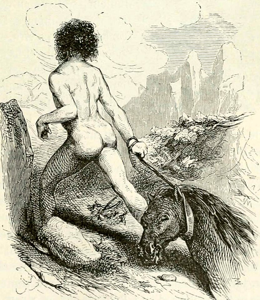 Lifeless horse