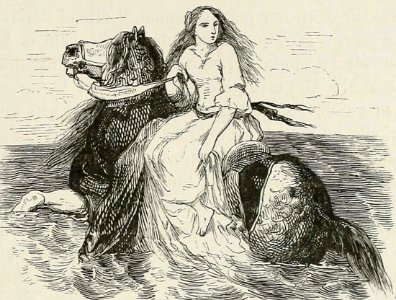 Among the Waves