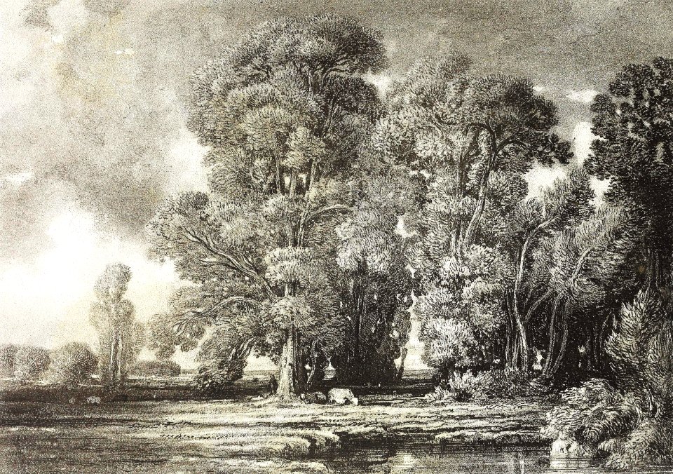 Landscape with Pond and Clump of Trees