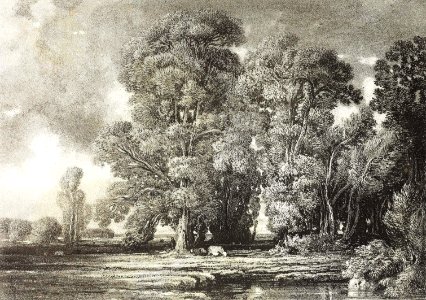 Landscape with Pond and Clump of Trees