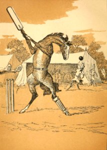 Cricket-Playing Horse
