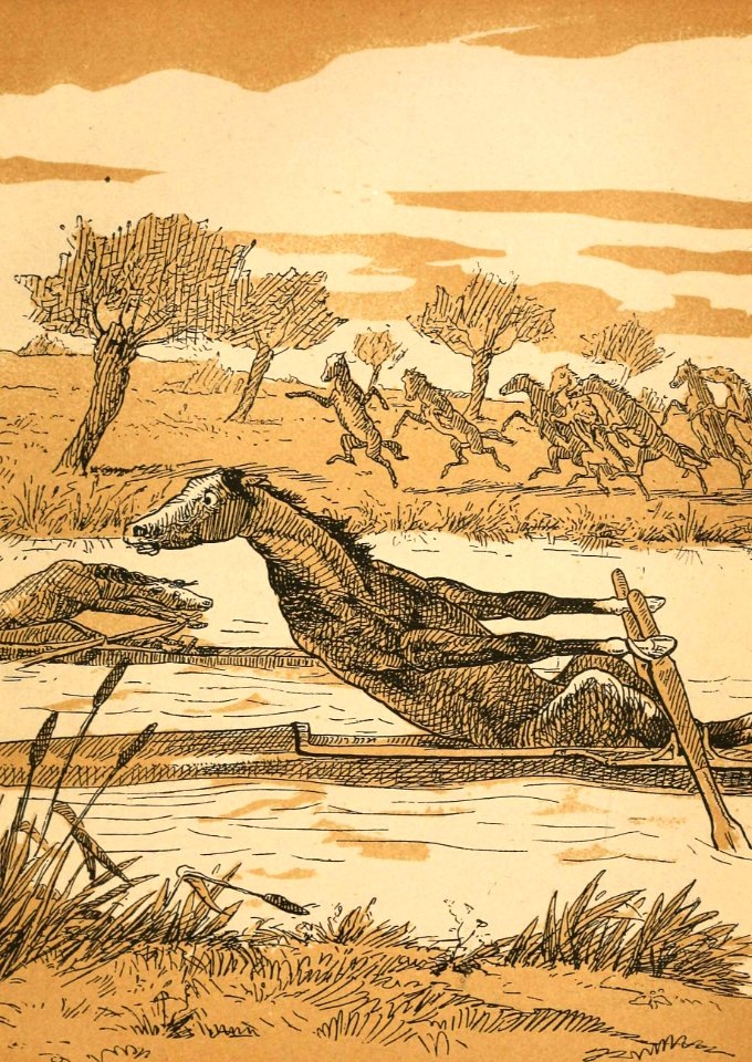 Boat-Racing horse