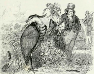 The heron