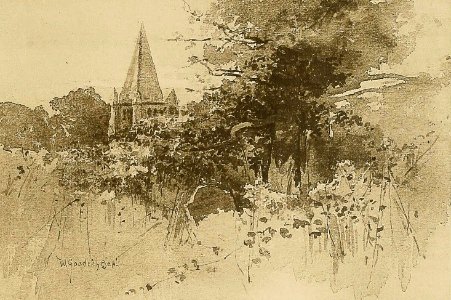 The Solemn Oak-Tree