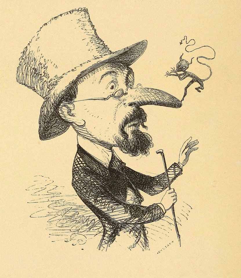 Settled on My Nose