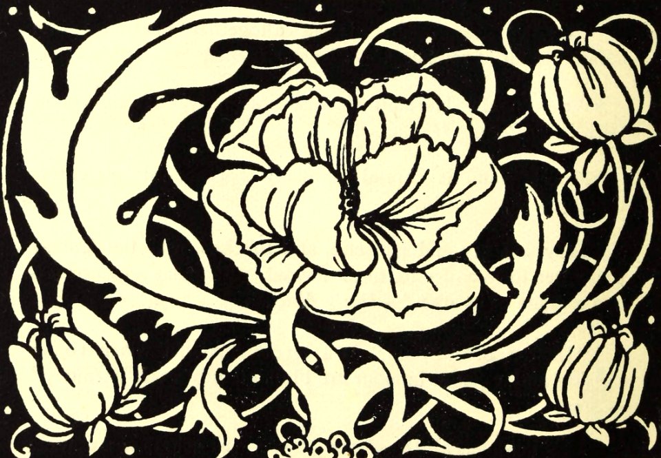 Ornamental Design with Poppy Flower