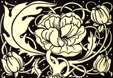 Ornamental Design with Poppy Flower