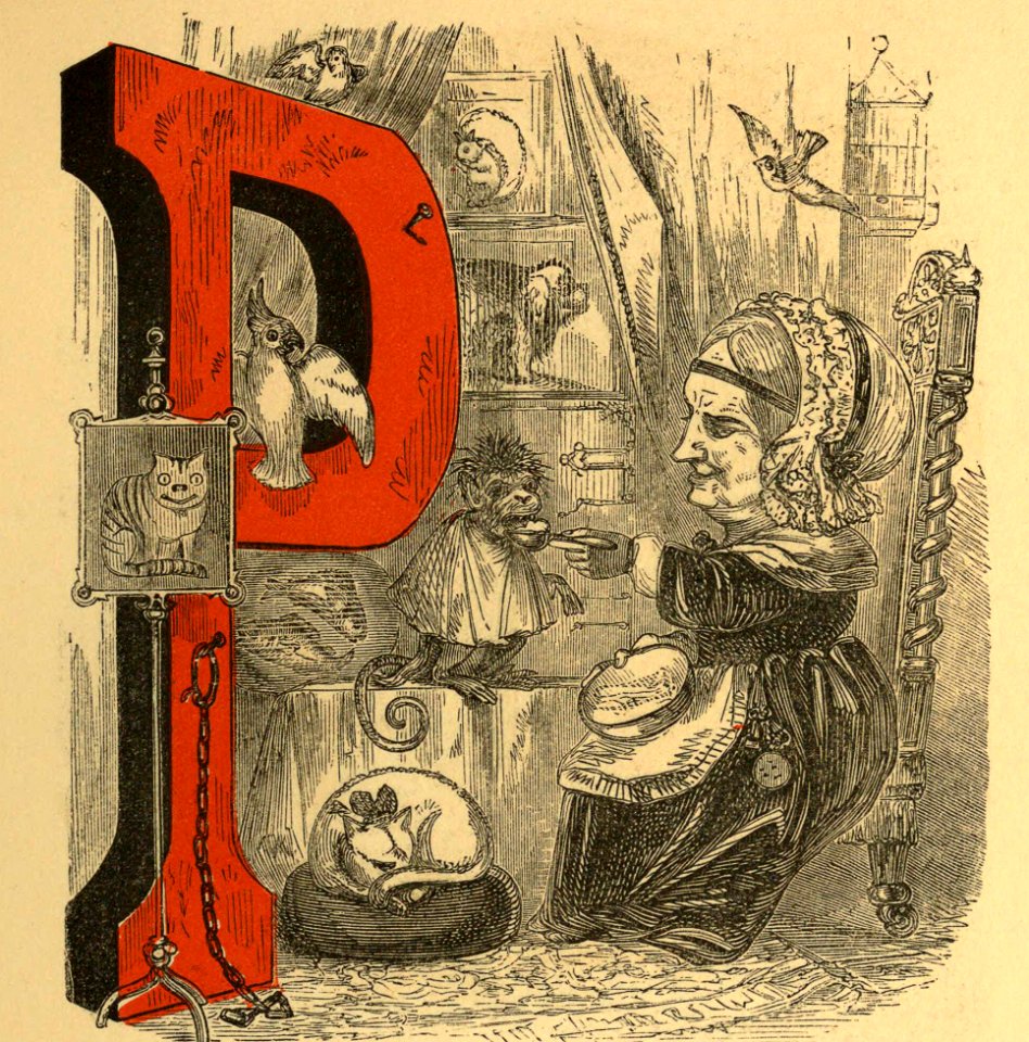 P Is for Pets