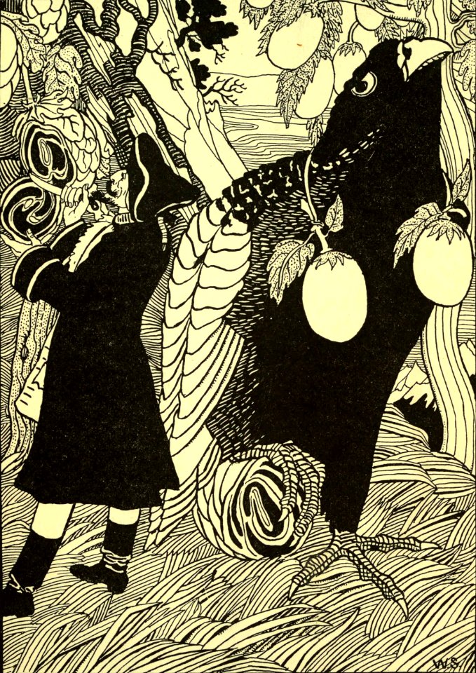 Examining the Fruit