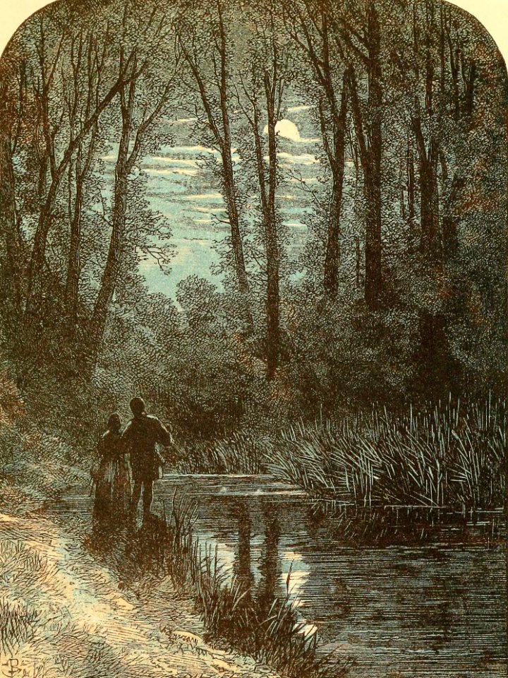 Evening Ode