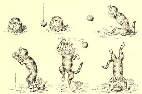Story of the Catnip Ball
