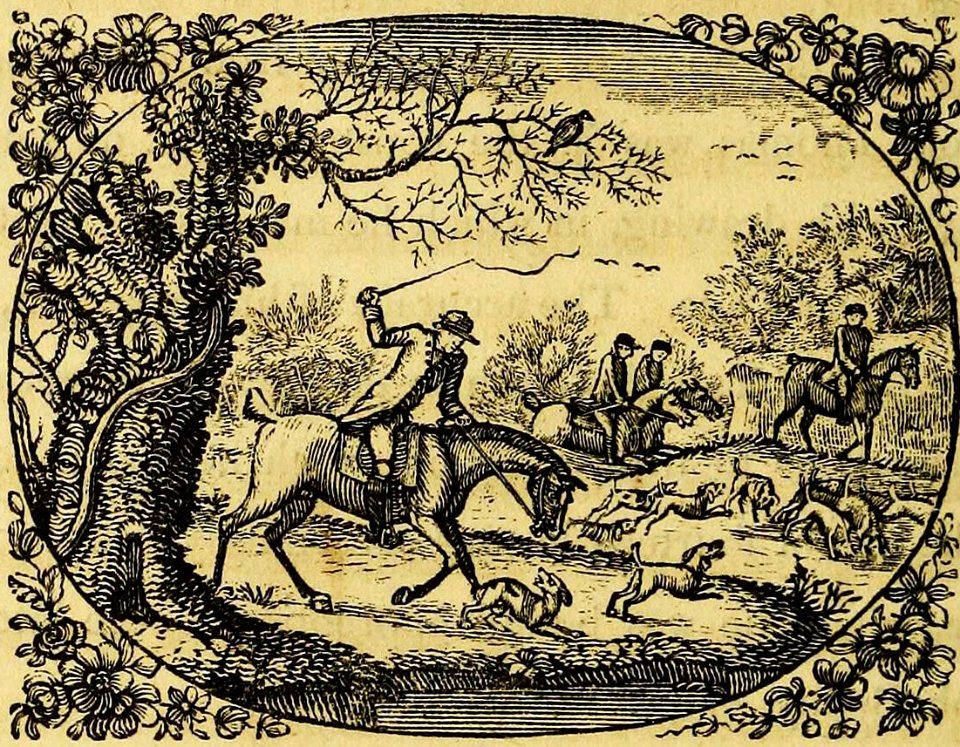The Old Hound