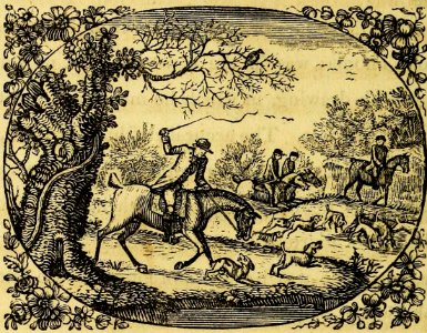 The Old Hound