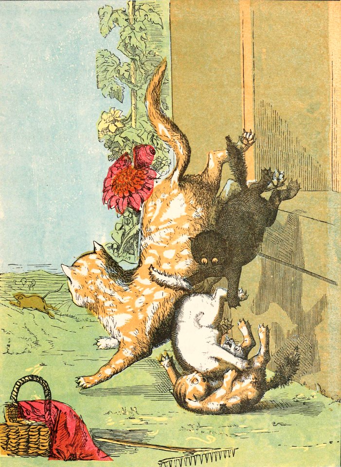 The Family Gives Chase to a Rat