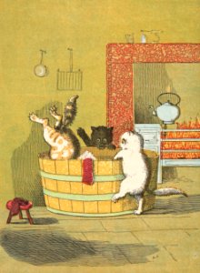 Spotty Falls into the Tub