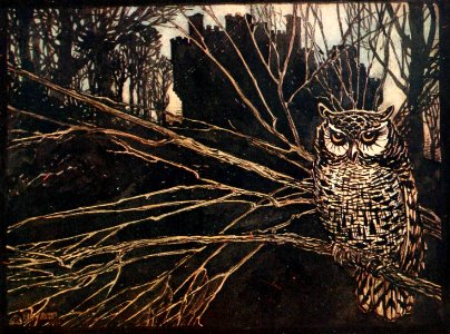 Screech Owl. Free illustration for personal and commercial use.