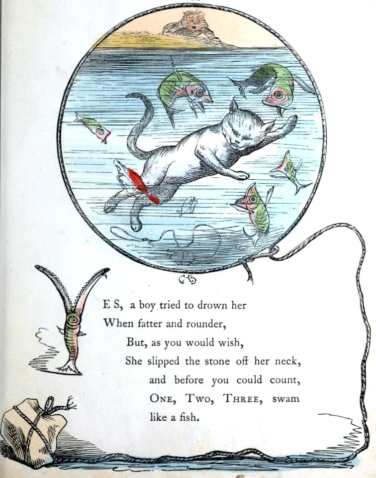 Like a Fish