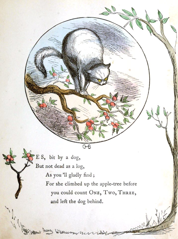 Up the Apple Tree