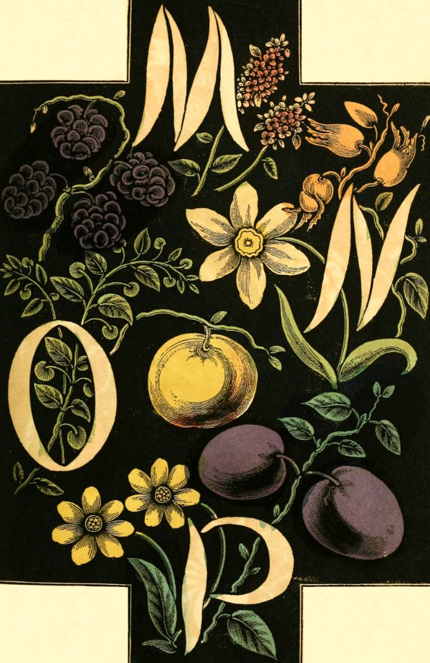 Alphabet of Flowers and Fruit—M, N, O, P