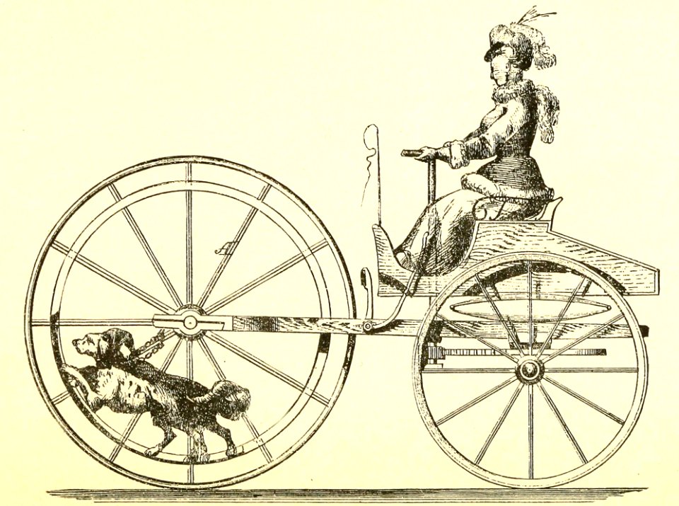 Dog-Powered Vehicle