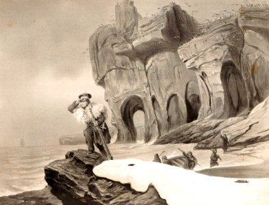 Bear Island