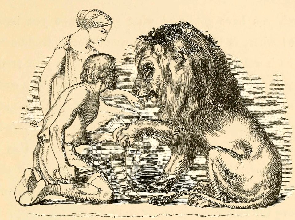 Lion in Love