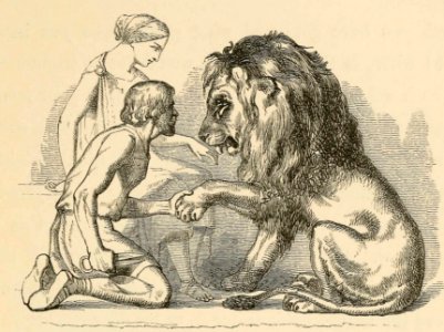 Lion in Love