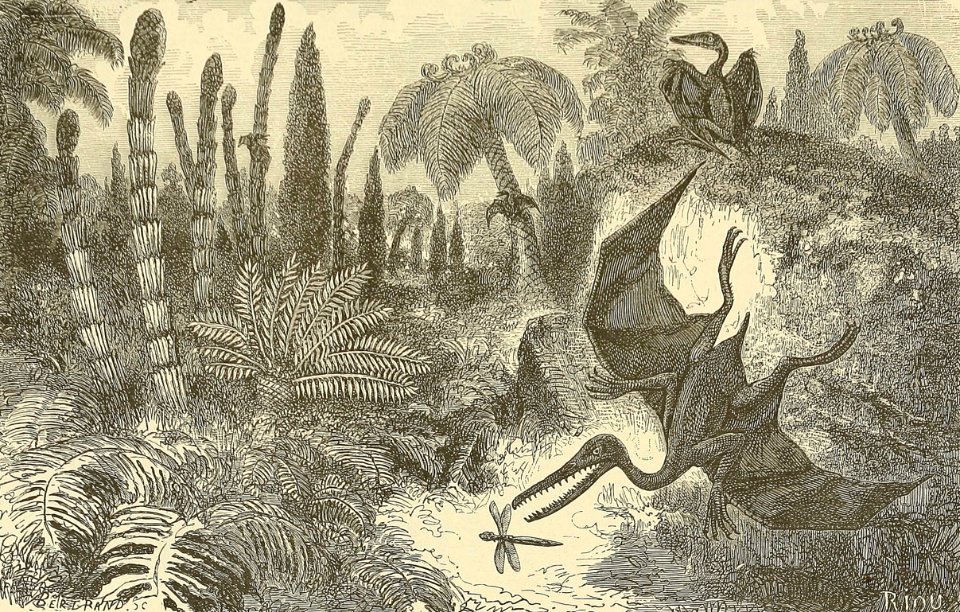 Early Jurassic