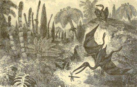 Early Jurassic